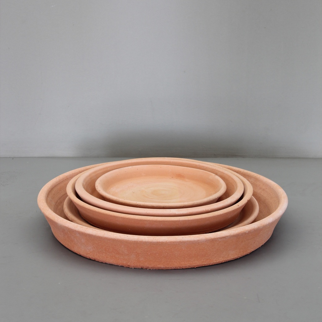 Saucer