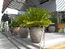 Old Stone Large jar - Copy.webp