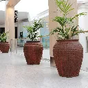 IMG_3388 CROPPED.webp