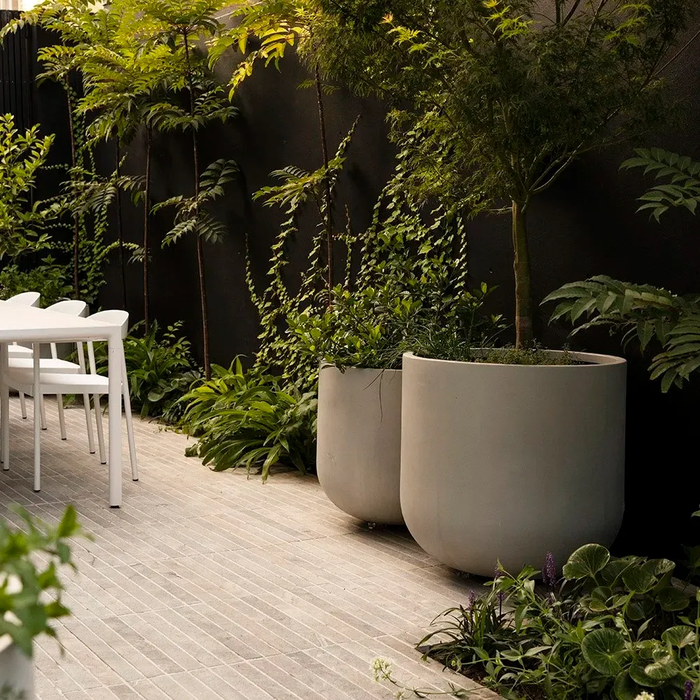 SaintRemy_Prahran_4628 cropped.webp