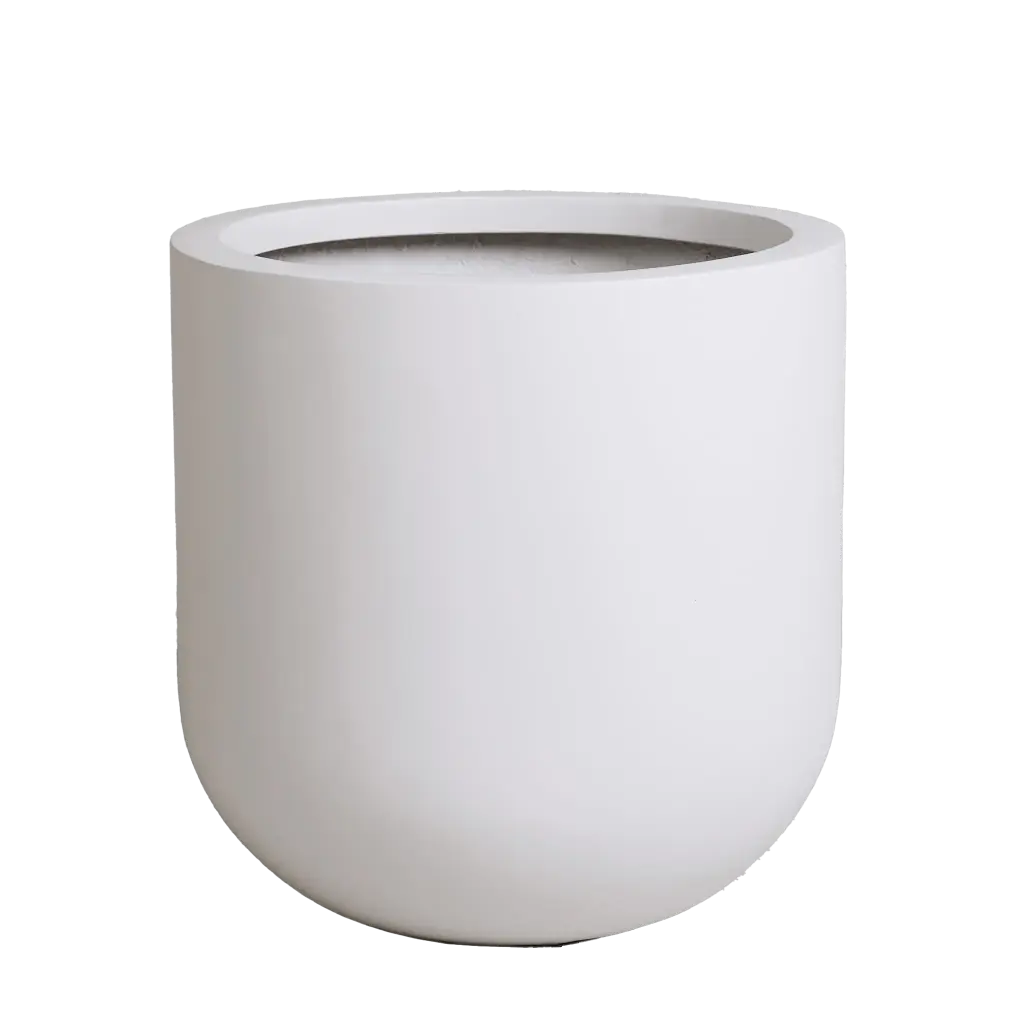 White Rotunda Pot