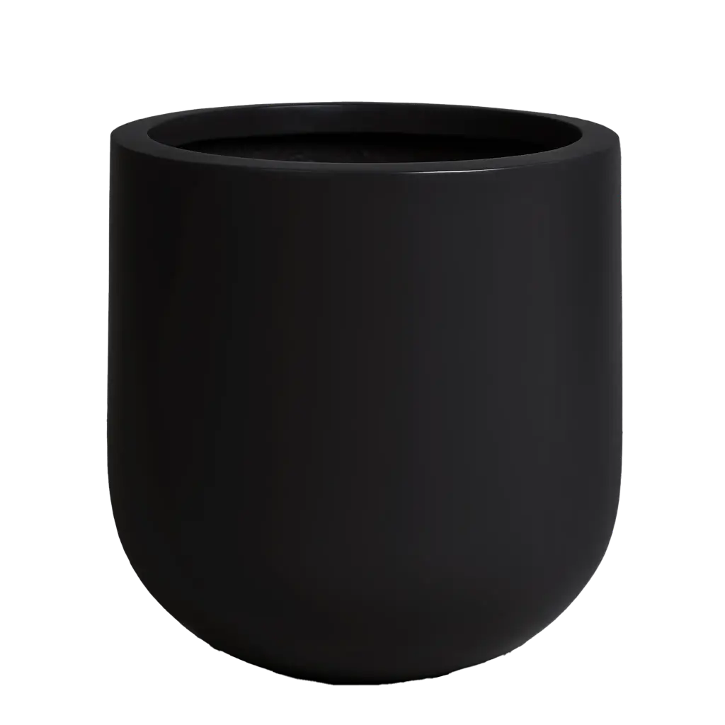 Black Rotunda Pot 