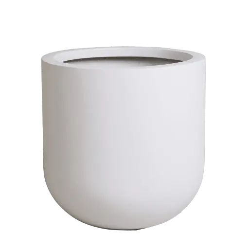 White Rotunda Pot