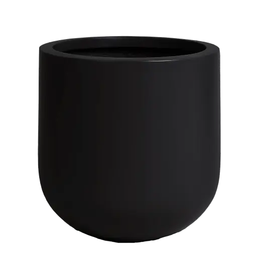 Black Rotunda Pot 
